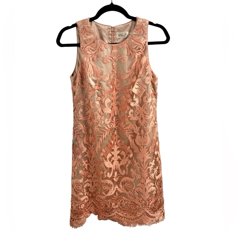 Eliza J Elegant Champagne Pink Dress Size 6